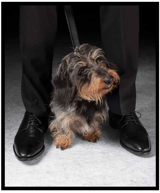 Screen Shot 2014-03-15 at 15.34.10