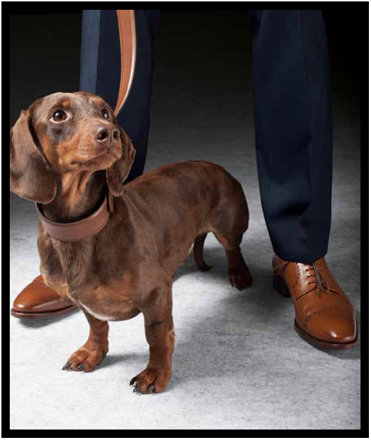 Screen Shot 2014-03-15 at 15.34.43